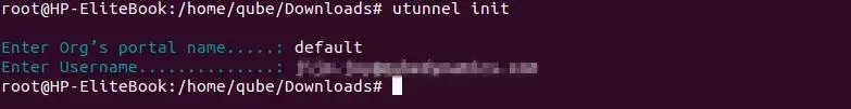How to Install and Configure UTunnel VPN on Linux login step