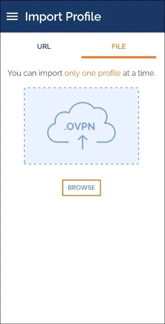 use openvpn client to connect to vpn browse file