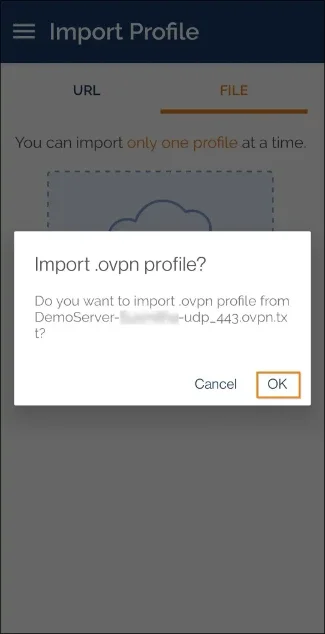 use openvpn client to connect to vpn import file