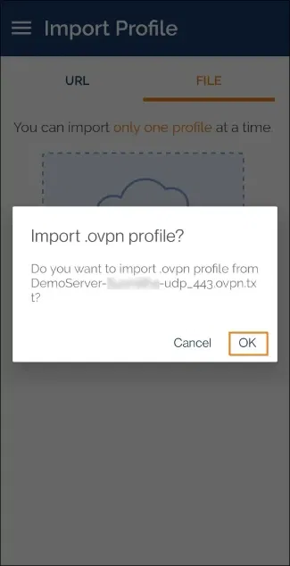 use openvpn client to connect to vpn import file