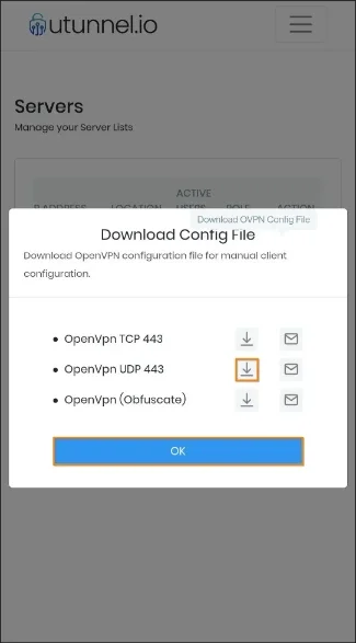 use openvpn client to connect to vpn choose protocol