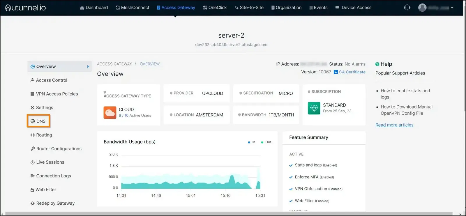 How to enable external DNS on VPN server overview