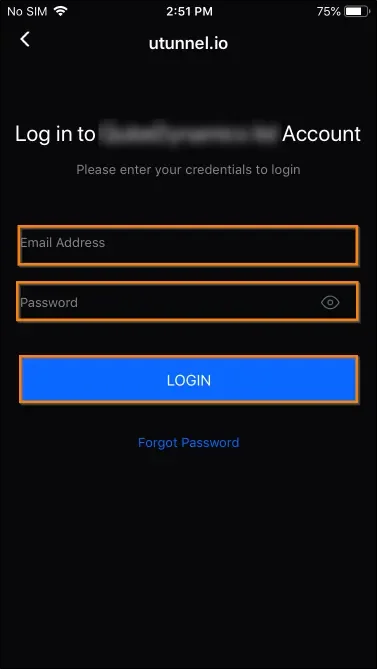 iOS VPN application features explained business account login